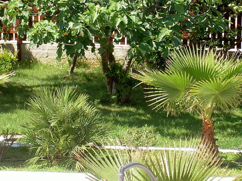 Hotel Baia Del Sole Paestum Exterior foto